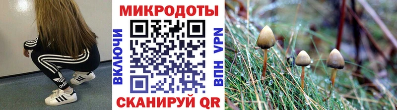 Галлюциногенные грибы ЛСД Покачи