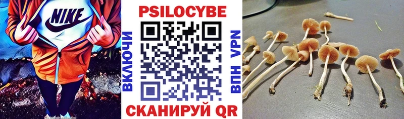 Галлюциногенные грибы Psilocybine cubensis  блэк спрут ТОР  Покачи 
